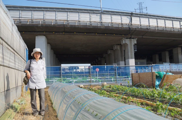 池田あすえさんの農場。奥に見えるのが東名高速道路。池田さんが立っているあたりから向こうが収用予定だが、池田さんは土地を明け渡すつもりはない