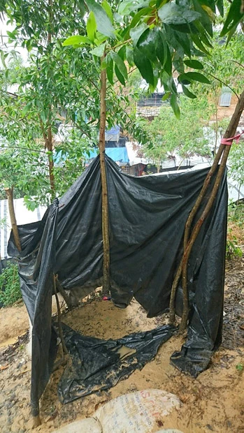 深刻なトイレ事情。ビニールを使った簡素な囲いがあるだけでもまだましなほうである。