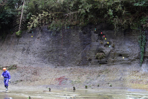 約77万年前から12万6000年前を代表する地層として候補地に選ばれた千葉セクション