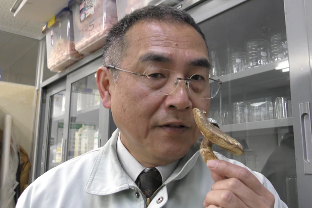 32歳でキノコ担当になって今年で25年目。これまで誰も成し遂げられなかったバカマツタケの人工栽培に成功したマスター・オブ・キノコ。それだけによほどのキノコ好き(バカマツタケバカ!?)かと思いきや、「好きか嫌いかと言われたら、まあ好きなほうです(笑)」と案外、控えめ