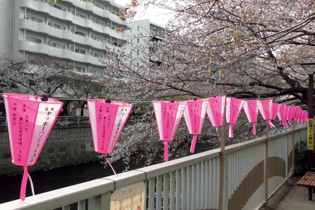 「ＪＹＪ」とは、東方神起を抜けた３人、ジェジュン＝Ｊ、ユチョン＝Ｙ、ジュンス＝Ｊで構成されたＫ-ＰＯＰグループ。「皆さんごひいき筋をとても大切にされている。民間外交のつもりでお受けしています」とは、ぼんぼりの申し込みを受けつける阿部事務局長