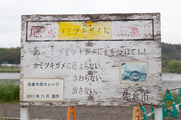 印旛沼の湖畔にはカミツキガメに注意する看板が。見つけた場合、一般の人は捕まえたりせず、自治体や警察へ連絡するルールとなっている