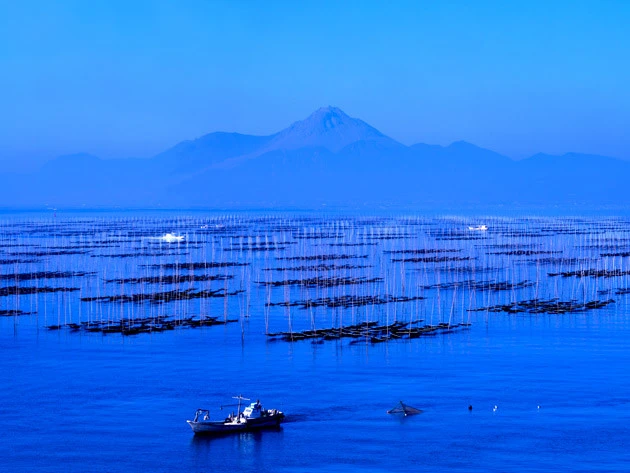 相場の高騰を受け、すでに「白子のり」は6月1日出荷分からの希望小売価格の値上げを決定(写真/時事通信社)