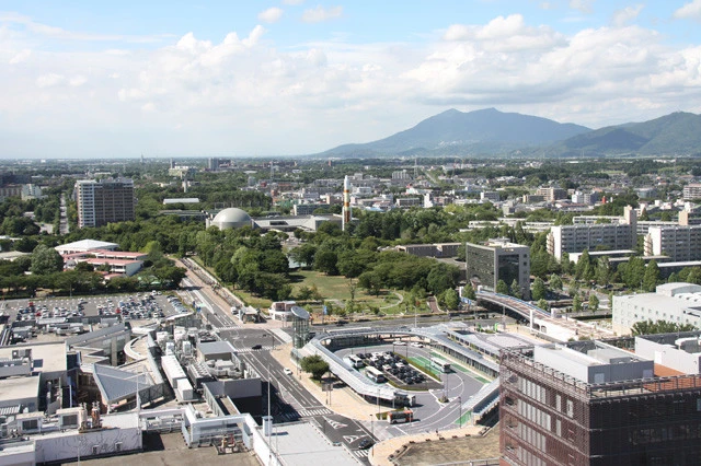 電柱のないつくば市の街並み(写真提供/つくば市)