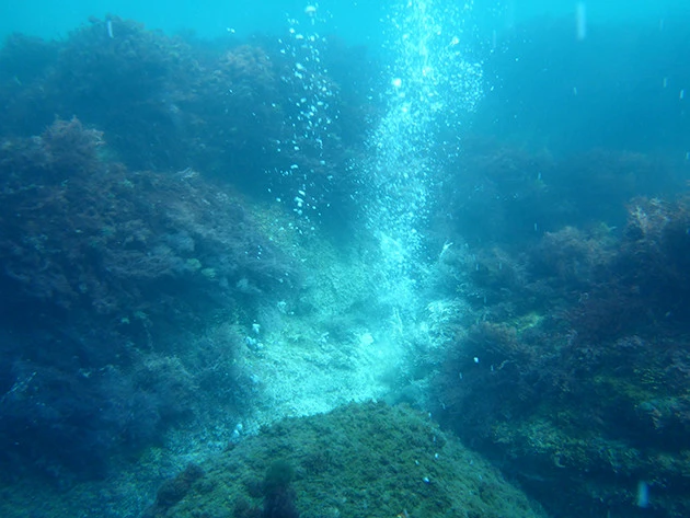 岩の間から噴き出している小さな泡が二酸化炭素。この噴出部の周りにはサンゴや大きな藻類は生息していない