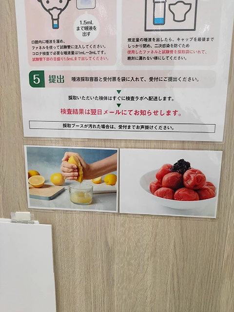 レモンと梅干しの写真。これなら唾液の出にくい人でも安心