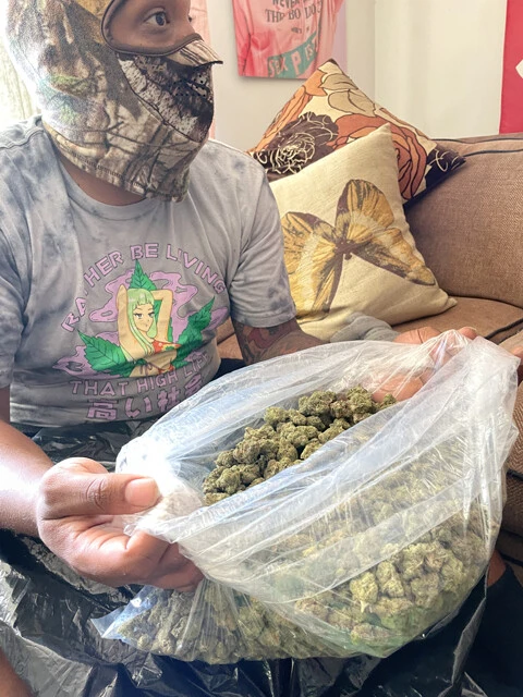 袋の中にあるのは無数の乾燥大麻。業者から横流しされた正規品だという