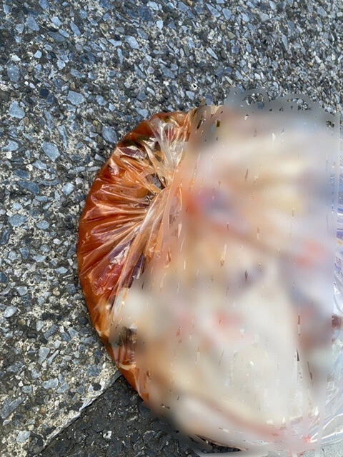 繰り返し言っていますが、ゴミに水分は禁物。それでもこのように毎日出てきます