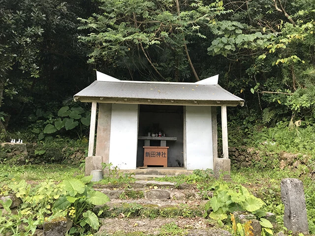 子宝の御利益があるパワースポットとして、伊仙町では根強い評判がある「新田神社」。ところが、2018年にアレを模した石彫りのご神体が何者かに盗まれてしまった。その行方は現在も不明である。いまだ主を失ったままの御帳台のうら寂しい姿