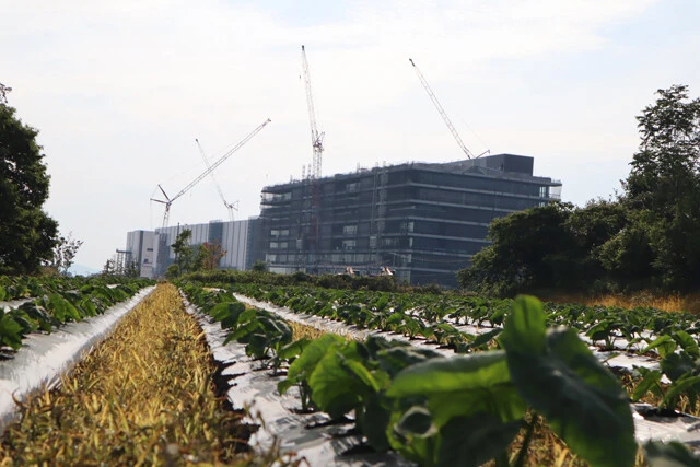 空前絶後の半導体バブル到来中！　熊本県菊陽町「景気よかばい！」ルポ