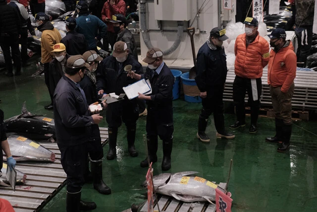 今年1月5日、初セリが行なわれた東京・豊洲市場の様子。威勢のいい声が場内に響く