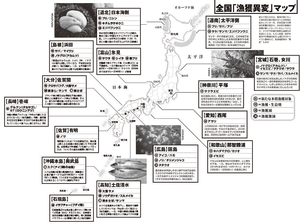 温暖化で激変！ 全国漁港調査で明らかになった最新「おさかな分布