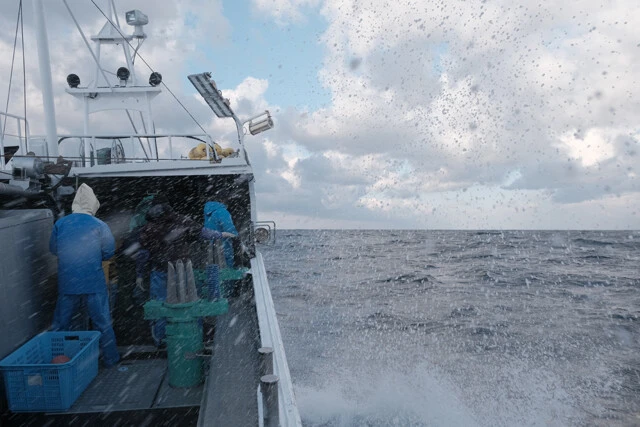 昨年11月、マグロの漁場はかなりしけていた。冬季の海は風も強いので波しぶきといえども顔に当たると痛い