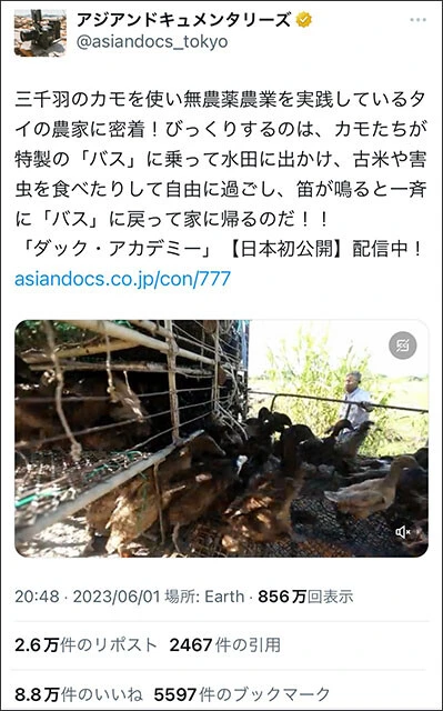 SNSでバズった映画紹介の一例。アジアンドキュメンタリーズで配信中の『ダック・アカデミー』は856万のインプレッションを獲得(2023年8月時点)