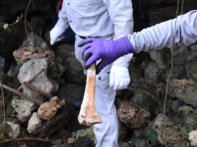 旧日本兵遺骨画像のSNS拡散を政府が問題視。でも、辺野古埋め立てには遺骨入りの土砂を使用!?