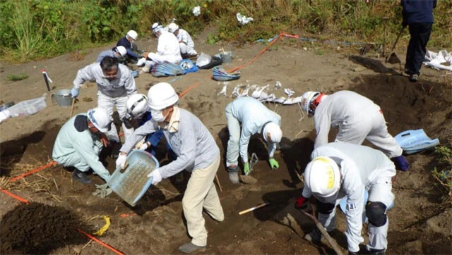 1952年にサンフランシスコ講和条約が発効して以降、毎年続けられている遺骨収集事業。だが、これまでに収容された遺骨は全体の半数程度
