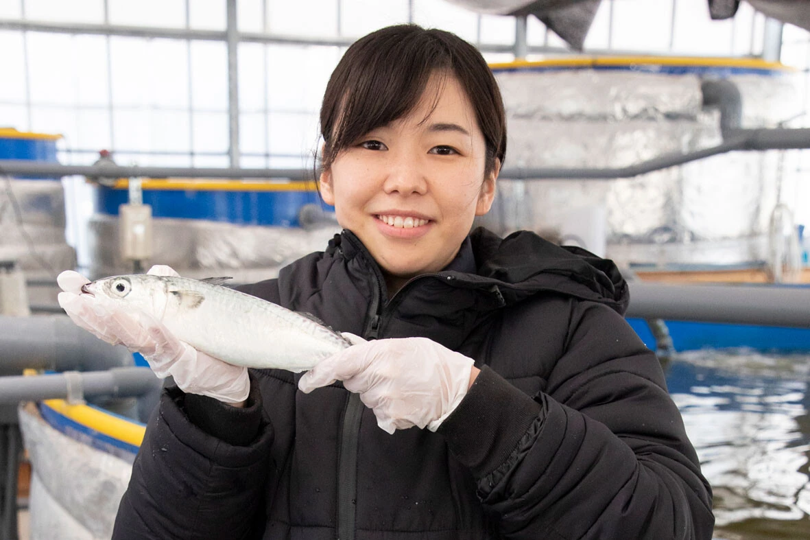 "海なし県"・埼玉が海産王国に!?　サバやウニを温泉施設で育てるメリットとは？