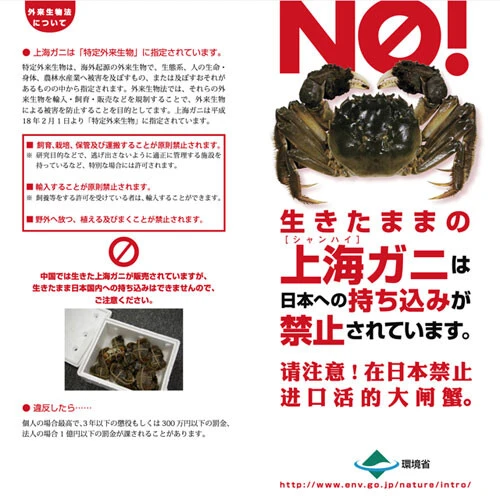 環境省は上海ガニの「国内持ち込み禁止」の周知徹底を行っているが、密輸・密売例は後をたたない