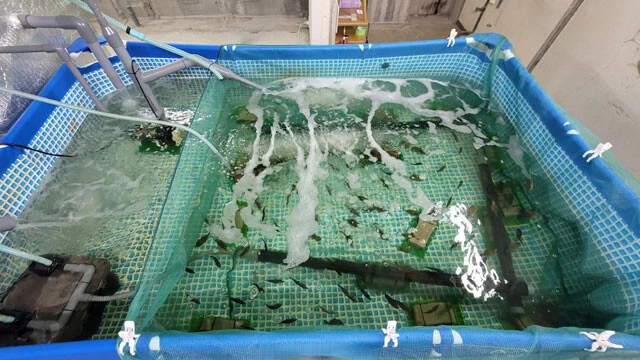 駅や団地、休耕地が大活躍！　巨大企業も参戦する「陸上養殖」最前線