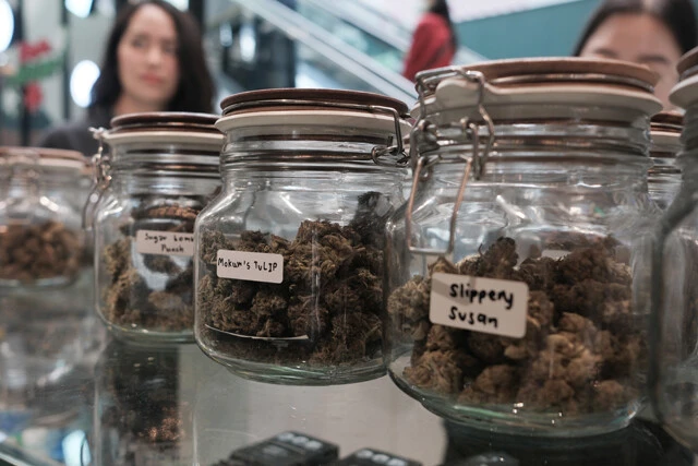 バンコクのデパートにも大麻コーナーを発見した。タイ人の生活の一部として溶け込んでいる