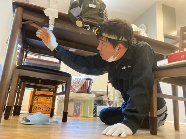 トコジラミの駆除業者による作業の様子。トコジラミが生息しそうな場所や、動線となるポイントに、プロ仕様の駆除剤をハケを使って丹念に塗り込んでいく(写真提供/有限会社トーメー)