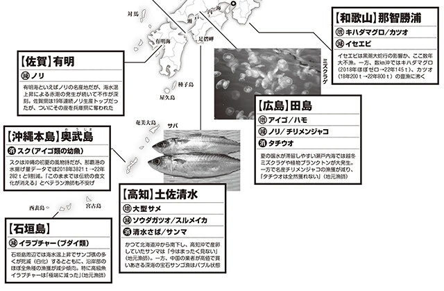 全国「漁獲異変」マップ