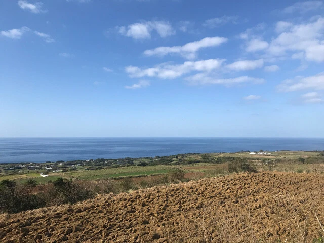 太平洋が見えるのどかな伊仙町の風景