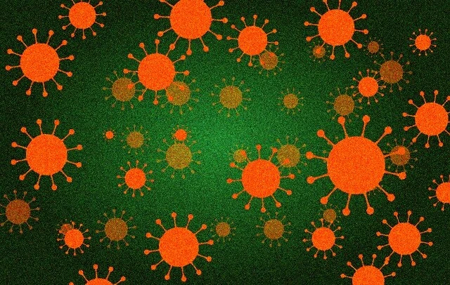 インドや北米などで広がり、日本でも感染が確認されたXBB.1.16。その伝播力の高さから、研究者の間で今最も注目されている変異株のひとつだ