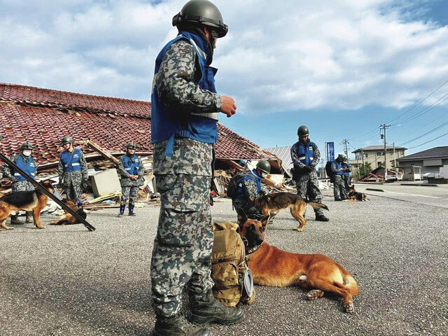 警備犬　航空自衛隊は警備犬も派遣し、行方不明者の捜索にあたっている。「広大な航空基地の警備用として航空自衛隊には多くの警備犬が配備されています。ただ、高齢犬が多くそれが問題となっています」（照井氏）