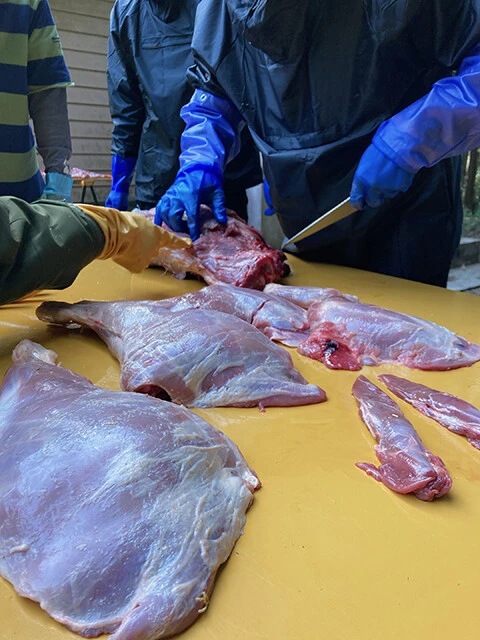 解体したイノシシ肉を部位ごとに切り分けていく。そして、分けた肉は会員が持ち帰ったりして食べる