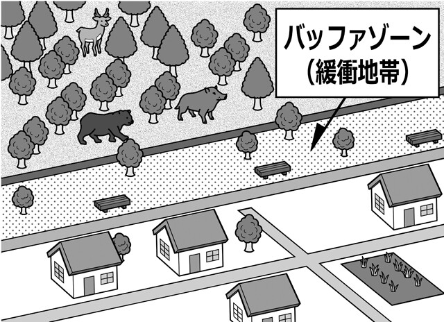 住宅地と森林の間にある「バッファゾーン」のイメージ。人間が住む場所と動物がすむ場所を分ける「ゾーニング」を厳密に行なうことで、人がクマに遭遇してしまうリスクを根本的に減らすことができる