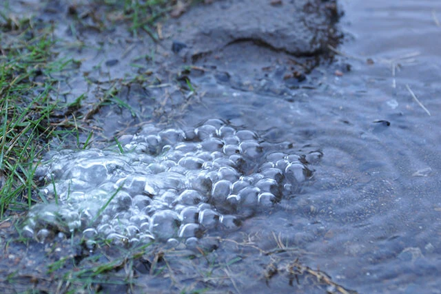今年10月22日、町田市の民家の庭に突然湧いた水と気泡。気泡内部の空気の酸素濃度はわずか1%。1回吸い込んだだけで数分内に死に至るレベルだ。当時、現場付近の地下ではシールドマシンを用いたリニア中央新幹線のトンネル掘削が行なわれていた。マシンの停止後、水と気泡は止まったという（写真／樫田秀樹）