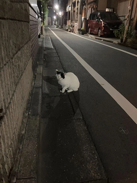 東京都江戸川区にて