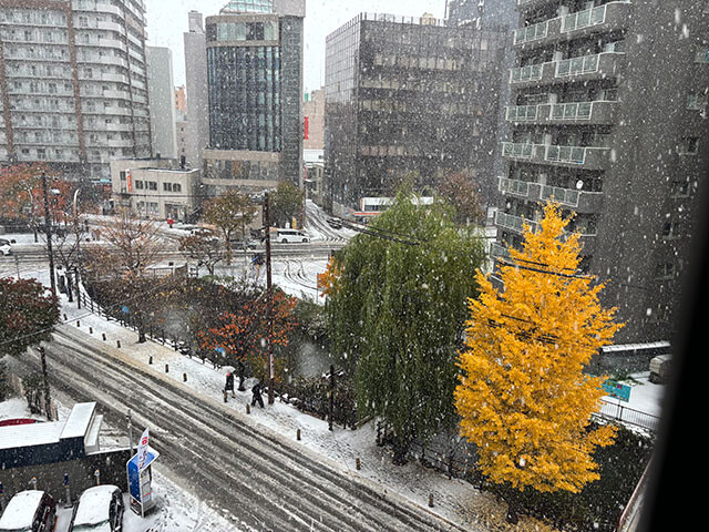 2日目の札幌は大雪でした