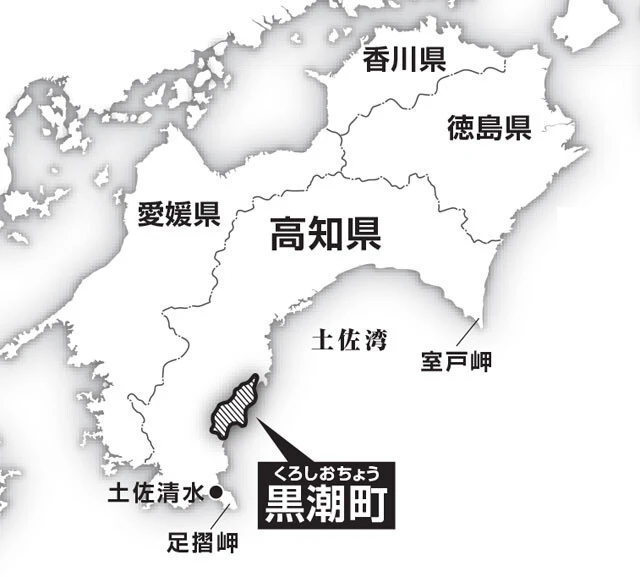 高知県の南西部に位置する。JR高知駅から特急で約1時間45分。2012年に南海トラフ地震での想定津波高が34.4mに達すると発表された