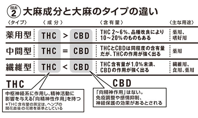 図表・大麻成分と大麻のタイプの違い