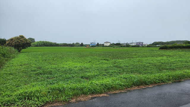 農村地帯に、ポツンと数軒の家が......。これが限界ニュータウンの基本スタイル。都心へのアクセスは絶望的だが、昭和・平成時代は好立地をウリに販売されていた!?