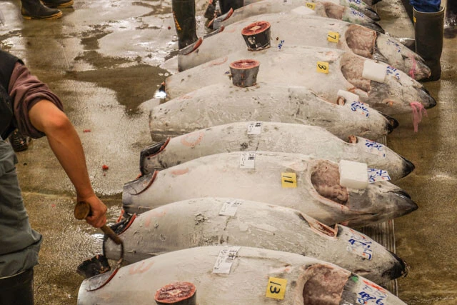 キャパ不足に老朽化も‥‥。物流2024年問題より深刻な「冷蔵倉庫逼迫（ひっぱく）」の現実