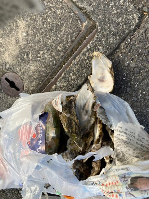 よく不燃ゴミに牡蠣の殻が出されていることありますが、可燃ごみです！（自治体によって異なることがあります）