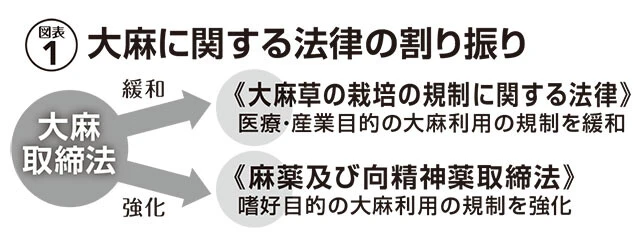 図表・大麻に関する法律の割り振り