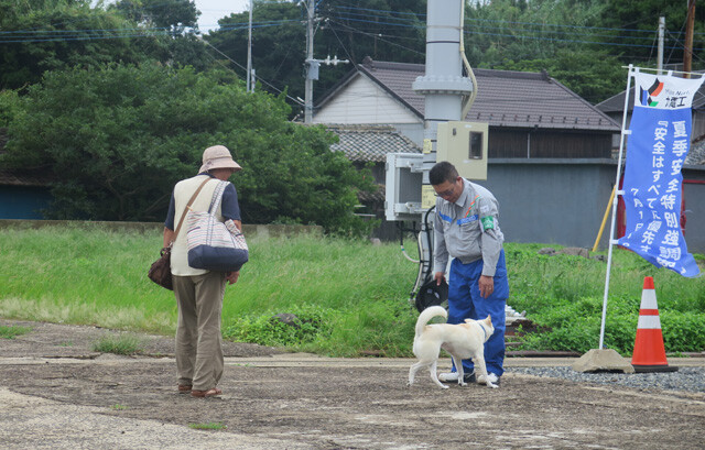 寺島地区で、島民の飼い犬に懐かれる九電工社員。島の暮らしに溶け込む様子がうかがえる