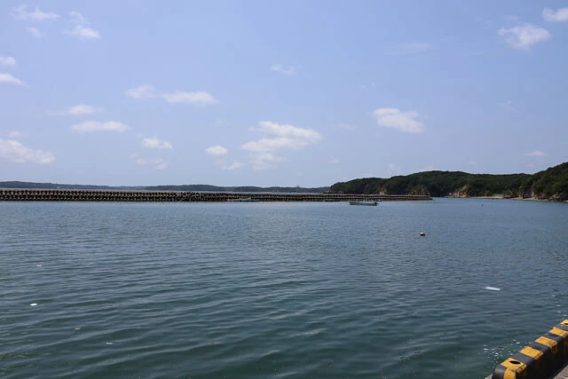 この漁場、的矢湾では大蛇行による海水温上昇や青潮の影響で壊滅的なダメージを受けた