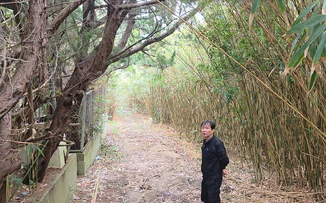 新別荘の側道。樹木で覆われてGoogleの衛星写真だと道路が確認できないレベルですが、こちらは立派な公道だったりします