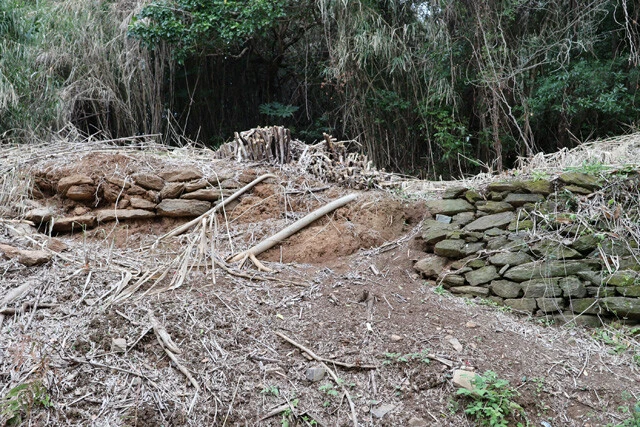イノシシに破壊された石垣