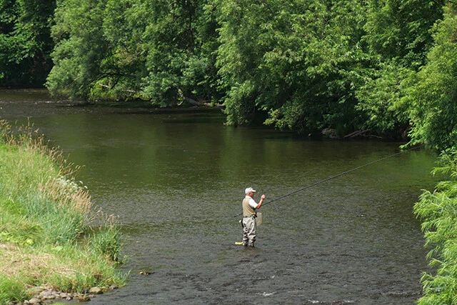 朱太川でのアユ釣りの様子