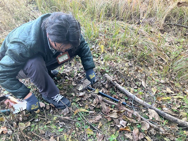 市内の畑でシカ用くくりわなの位置を調整する櫻井氏。JR小諸駅から車で10分の地点だが、シカの群れの通り道になっているという