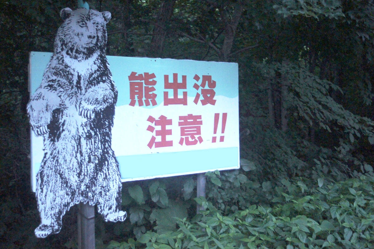 今年のクマ被害は過去最悪レベルにまで達している