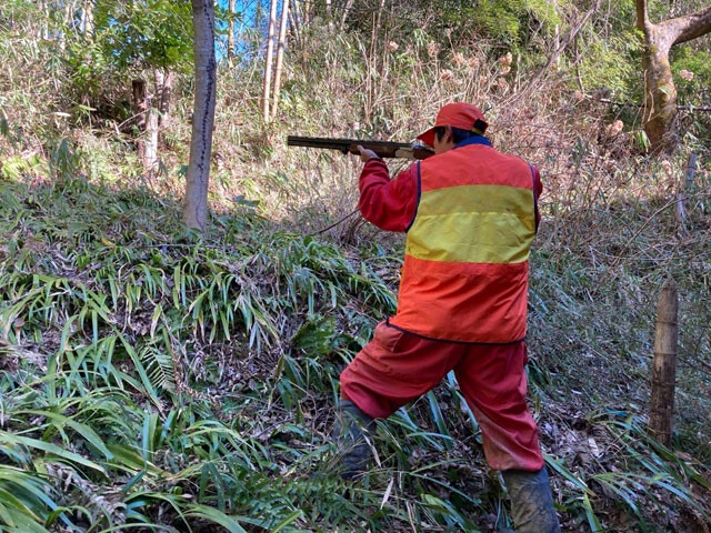 「シカを人里に近づけないことがクマ被害の防止につながるのでは」と加藤さん今年のクマ被害は過去最悪レベルにまで達している