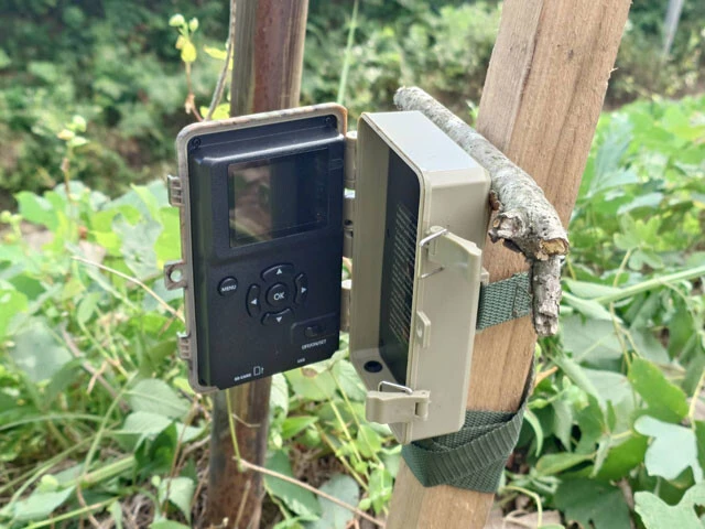 仙台市青葉区国見地区では出没が増え始めた8月から、JR仙山線沿いの草やぶなどクマ多発地点に監視カメラを設置。次の一手として箱わなの設置も検討中だ