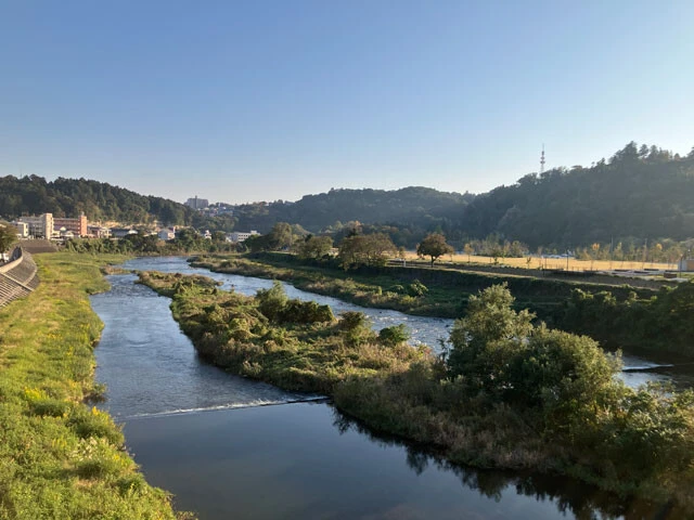 仙台駅から約1.6㎞の橋から撮影した広瀬川。10月、この付近で2日続けてクマが出没。専門家によれば、川沿いは山と町を結ぶ「高速道路」でやぶが多いほどクマの通り道に